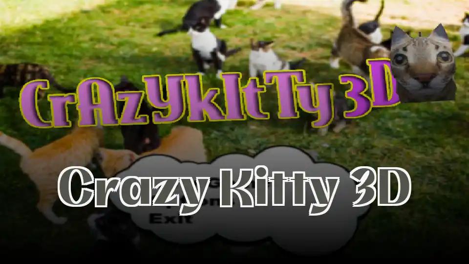Crazy Kitty 3D