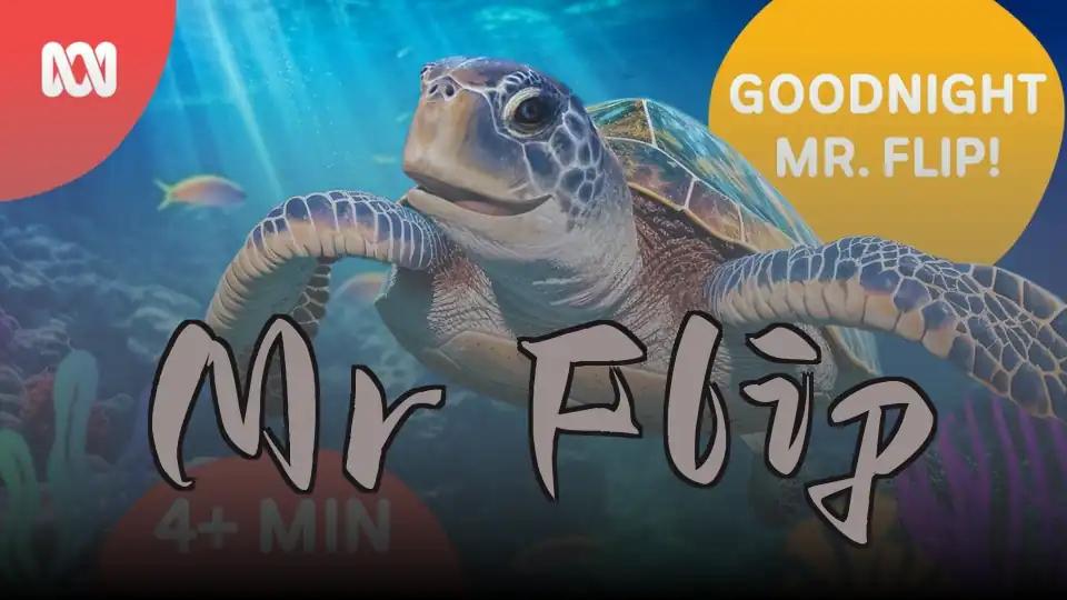 Mr Flip